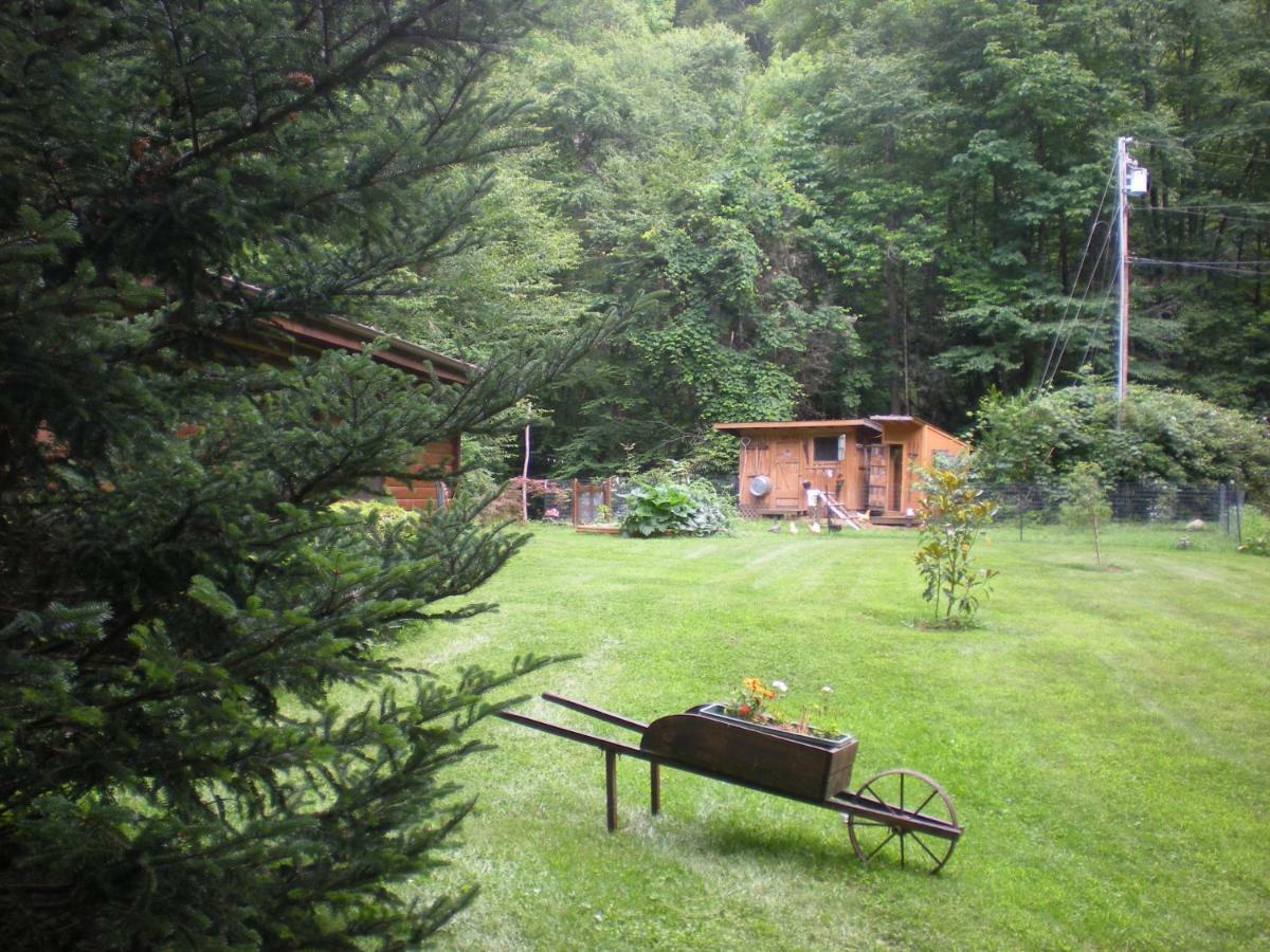 Buffalo Creek Bed And Breakfast Робинсвил Екстериор снимка